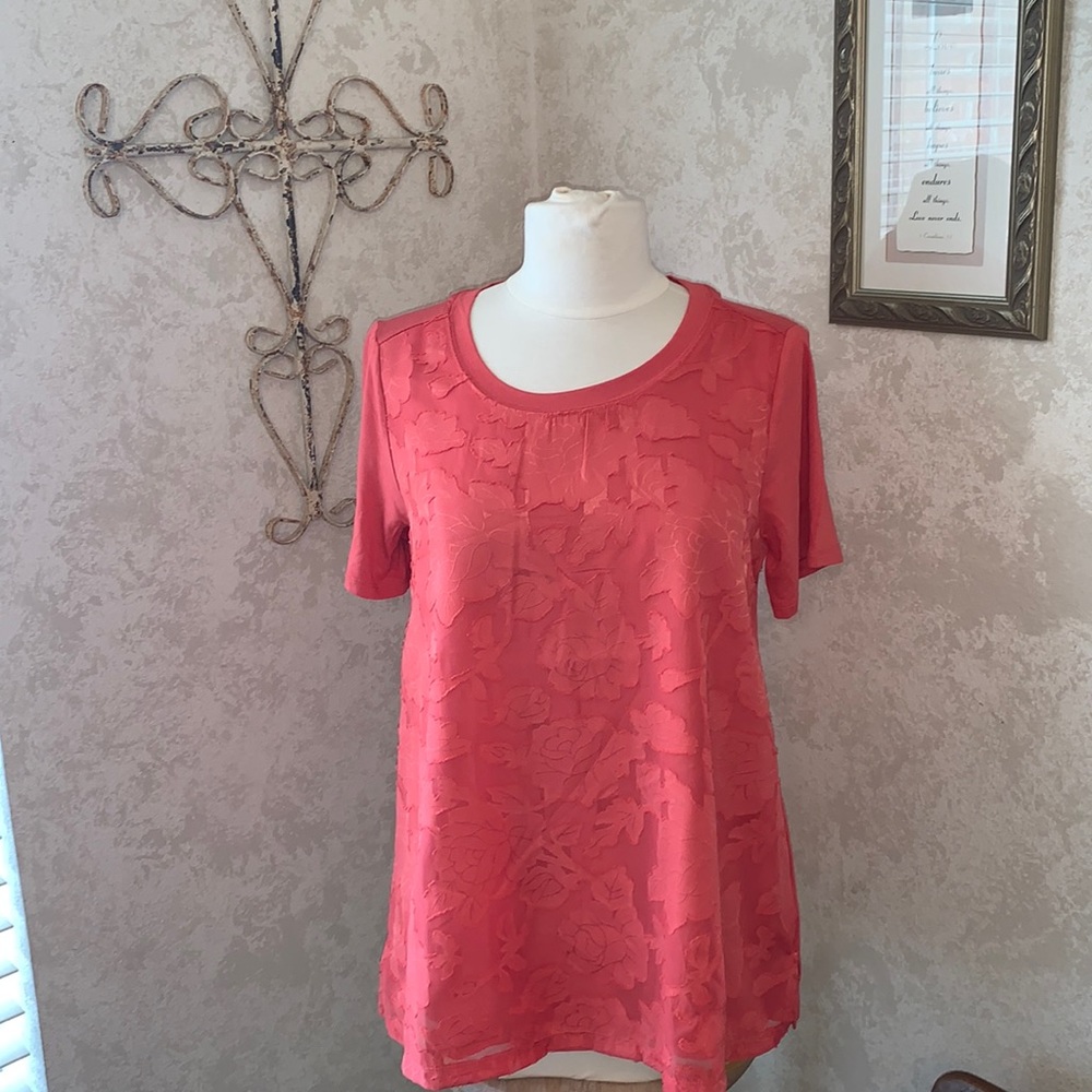 🆕Floral Lace Top Short Sleeves Size Small NEW⭐️ - Picture 4 of 10